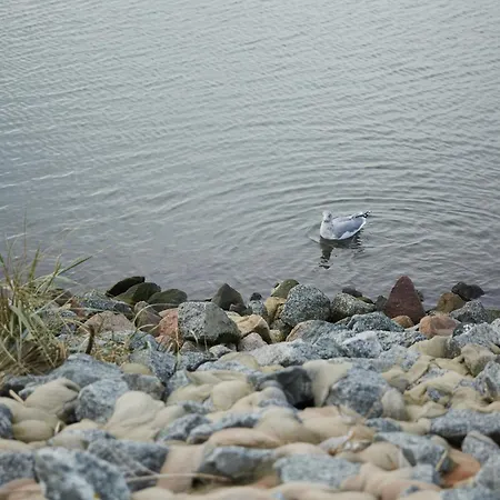 Binnendiek Haus 5 Deluxe-apartment 9